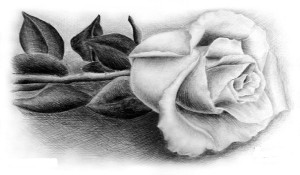 Как научится рисовать розу?