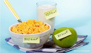 Как научиться считать калории?